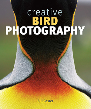 Bird Photo Blad cover