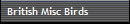 British Misc Birds