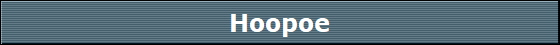 Hoopoe