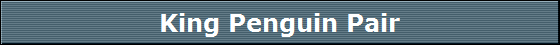King Penguin Pair