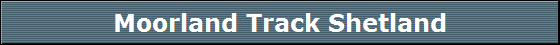 Moorland Track Shetland