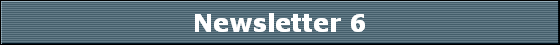 Newsletter 6