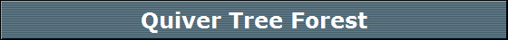 Quiver Tree Forest
