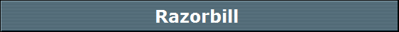 Razorbill 