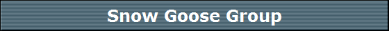 Snow Goose Group