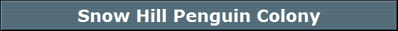 Snow Hill Penguin Colony