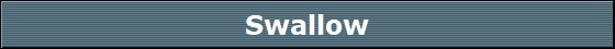 Swallow