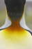 King Penguin neck