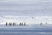 Crossing the Frozen Sea