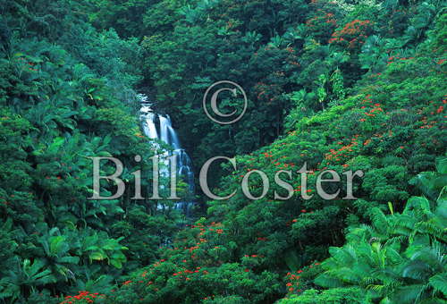 Nanua Falls