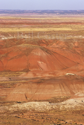 Painted Desert