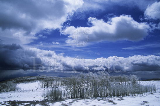 Snow Storm on Scenic Route 12