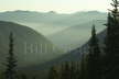 Hills from Mount Rainier