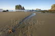 Stafish and Sea Stacks