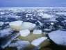 Frozen Sea of Bothnia