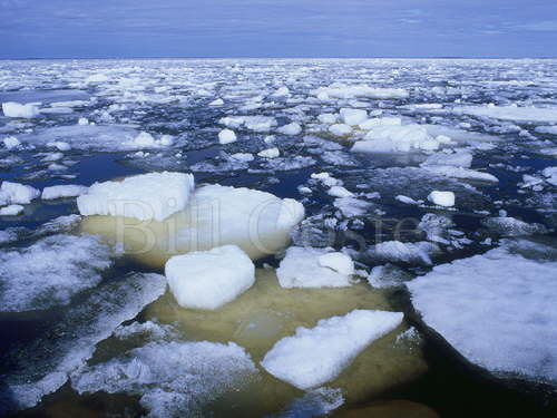 Frozen Sea of Bothnia