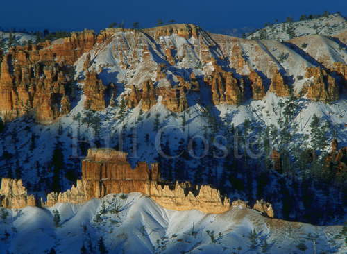 Bryce Canyon and Snow