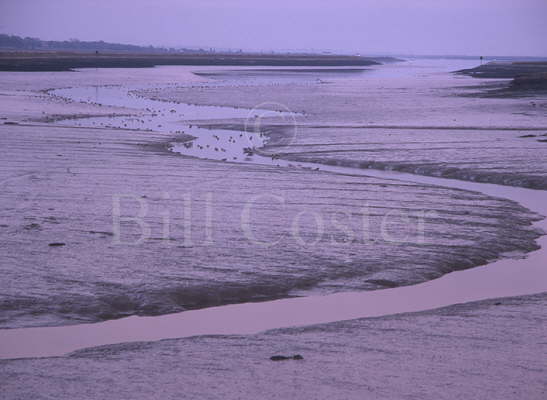 River Crouch Mudflats