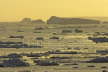 Weddel Sea Ice