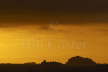 Icebergs at Sunset - Weddell Sea