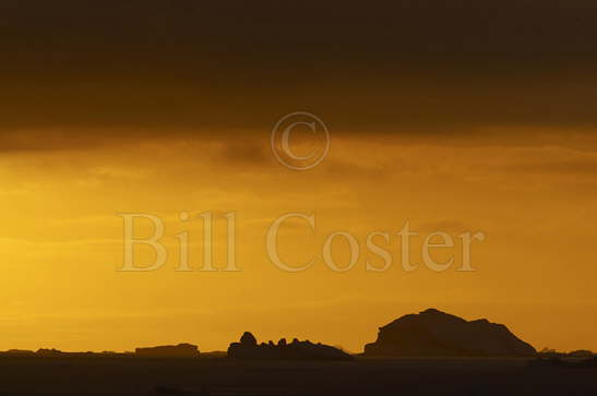 Weddell Sea Sunset