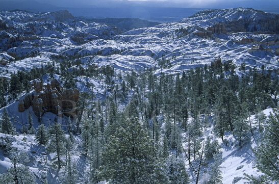 Bryce Canyon Snow