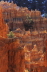 Bryce Canyon Detail