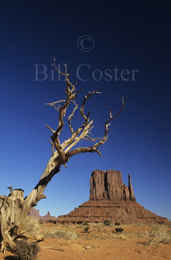 West Mitten Butte - Monument Valley