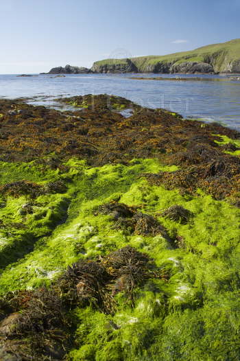 Low Tide