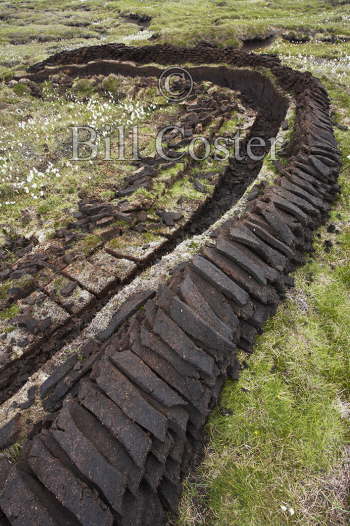 Peat Cutting