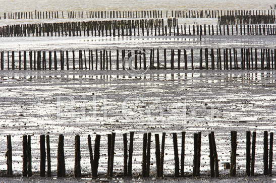 West Mersea Island Breakwaters