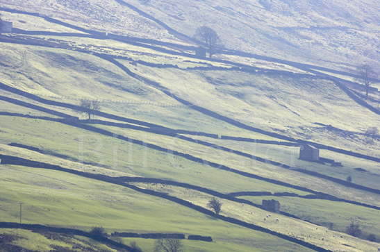 Swaledale