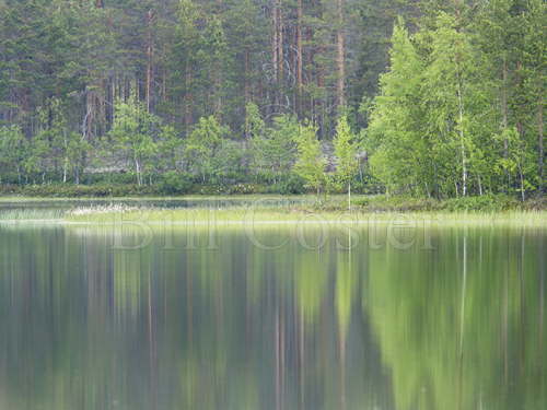 Finnish Lake