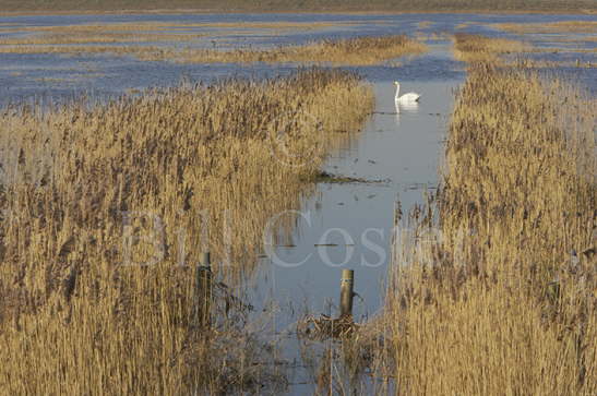 Winter Washes Norfolk