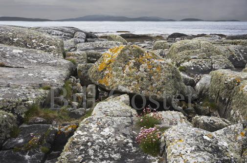 South Uist Coastline