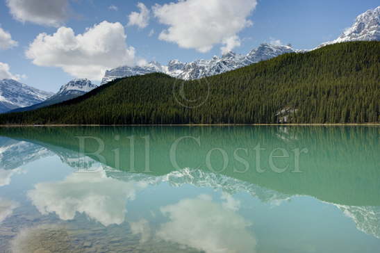 Waterfowl Lake