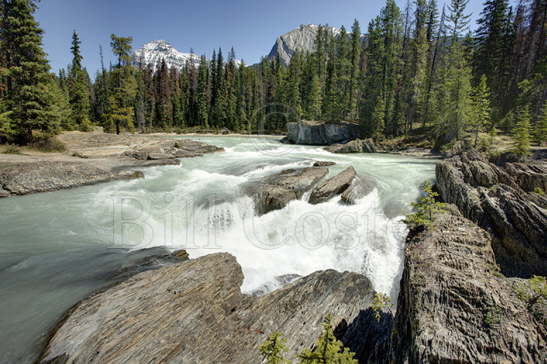 Kicking Horse River