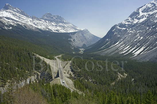 Wilcox Pass