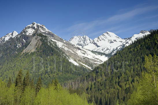 Glacier National Park