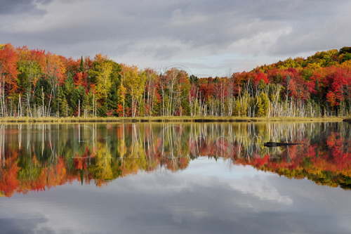 Council Lake 2