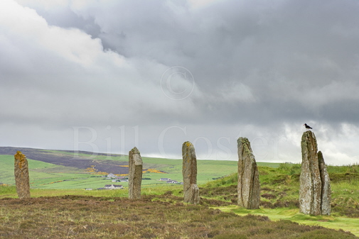 Standing Stones, Orkney