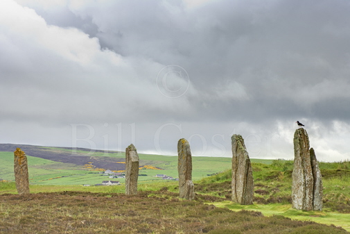 Ring of Brodgar Orkney