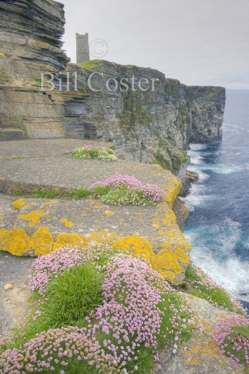 Marwick Head, Orkney