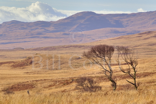 Isle of Jura