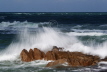Waves and Rocks, Jersey