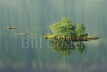 Crummock Water islet