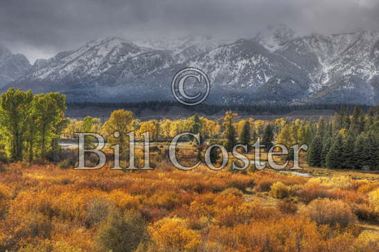 Autumn Colour Grand Teton