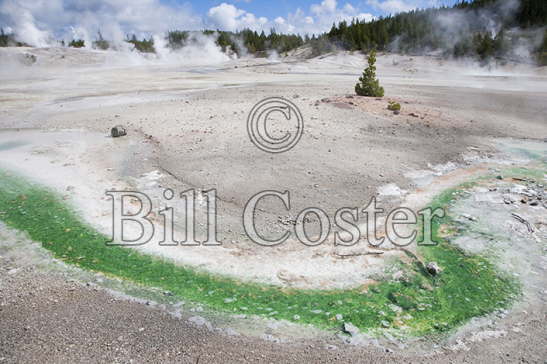 Norris Geyser Basin