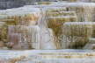 Pallete Spring