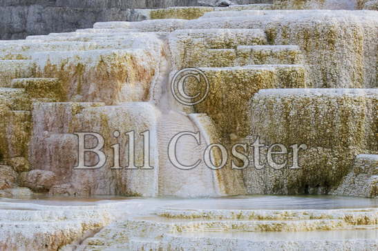 Pallete Spring
